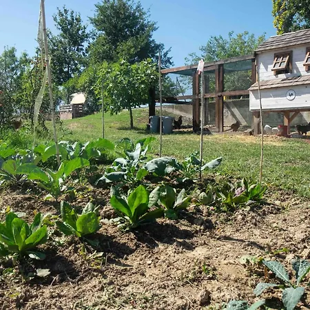 La Casa Del Gallese Bed and Breakfast Sorbolongo